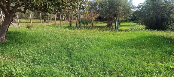 5غرفة فيلا في Pachino, Italy رقم 60981 15