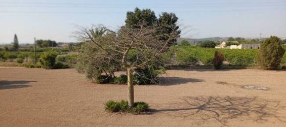 4 غرف نوم منزل في Daya Nueva, Spain رقم 132697 24