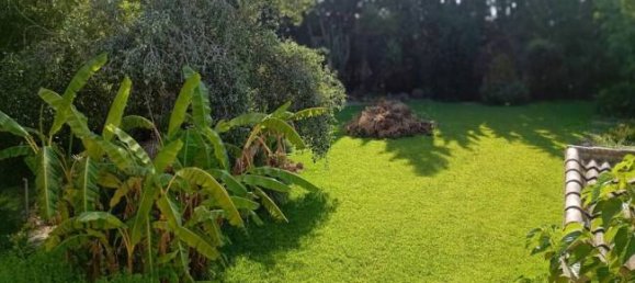 4 غرف نوم منزل في Daya Nueva, Spain رقم 132697 85