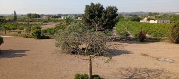 4 غرف نوم منزل في Daya Nueva, Spain رقم 132697 84