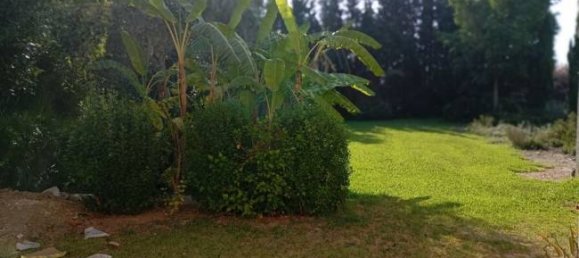 4 غرف نوم منزل في Daya Nueva, Spain رقم 132697 20