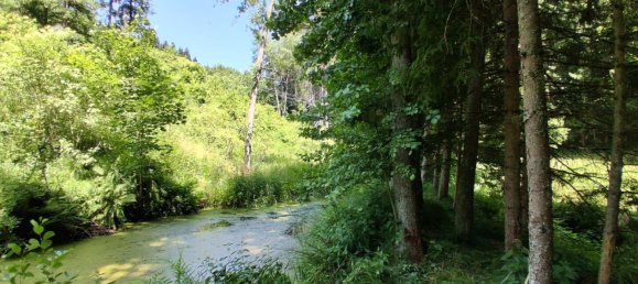 10 rooms House in Kirchberg ob der Donau, Austria No. 126377 9