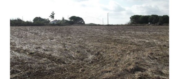 Terreno en Sintra, Portugal 50000 m² No. 64011 10