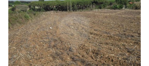 Terreno en Sintra, Portugal 50000 m² No. 64011 7