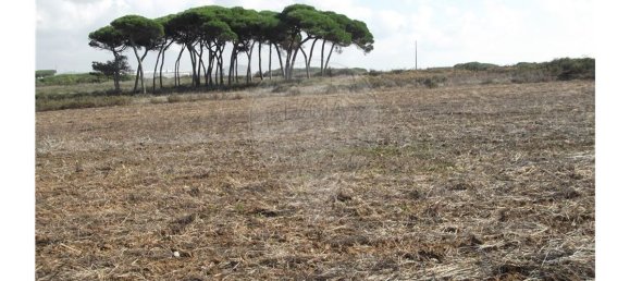 Terreno en Sintra, Portugal 50000 m² No. 64011 2