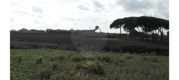 Terreno en Sintra, Portugal 50000 m² No. 64011 11