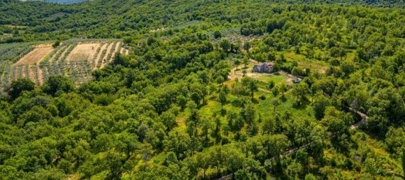 8-salle Maison à Torricella in Sabina, Italy No. 288240 3