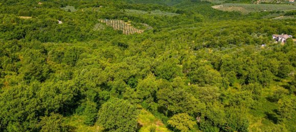 8-salle Maison à Torricella in Sabina, Italy No. 288240 29