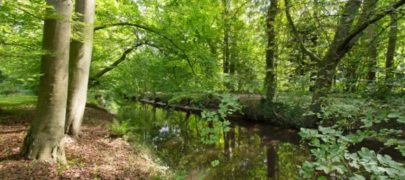 5-Zimmer Doppelhaus in Wandsbek, Germany, Nr. 300953 18