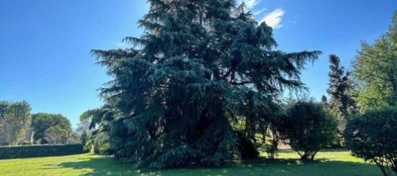 5 bedrooms Villa in Verolavecchia, Italy No. 392501 14