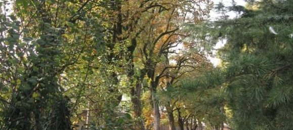 5 bedrooms Villa in Verolavecchia, Italy No. 392501 19