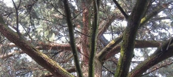 5 bedrooms Villa in Verolavecchia, Italy No. 392501 18