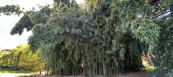 5 bedrooms Villa in Verolavecchia, Italy No. 392501 15