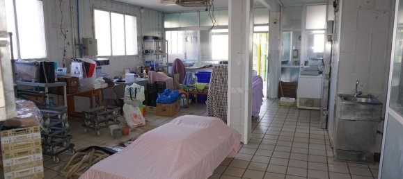 Дом с 6 спальнями в Санта-Мария-д'Оло, Испания № 70148 26