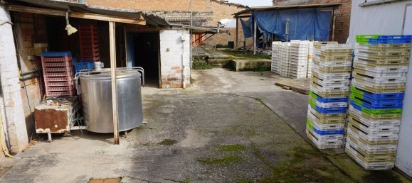 Дом с 6 спальнями в Санта-Мария-д'Оло, Испания № 70148 29