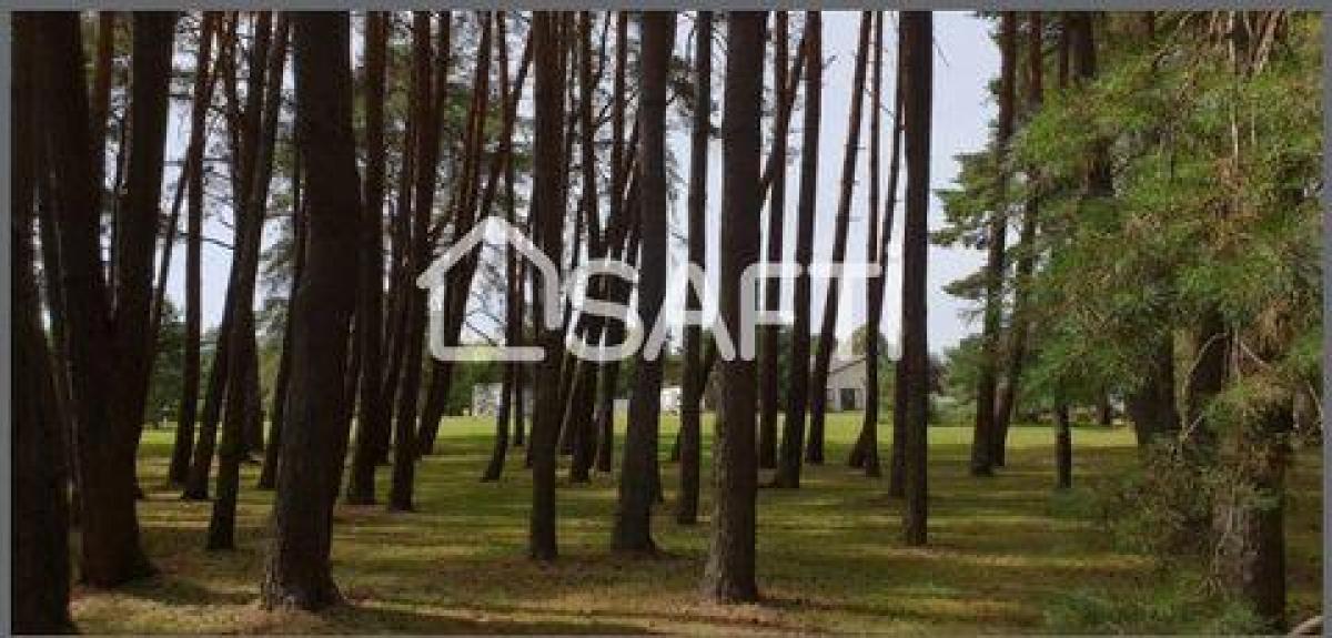 Oficina en Chateauroux, France 96660 m² No. 17449