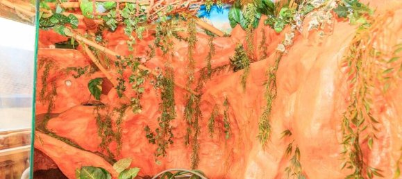 6 rooms Building in Hof, Germany No. 155685 9