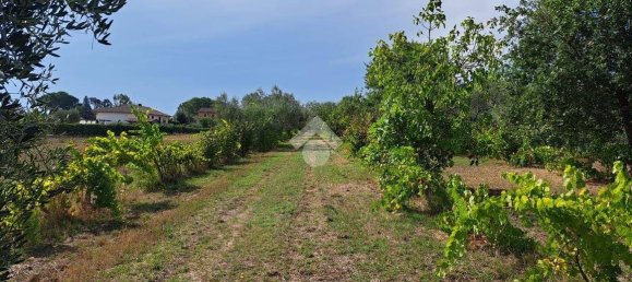 4 غرف نوم منزل في Fabrica di Roma, Italy رقم 207006 14