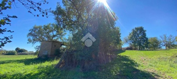 4 غرف نوم منزل في Fabrica di Roma, Italy رقم 207006 3