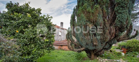 2 chambres Maison à Vila Nova de Cerveira, Portugal No. 40144 5