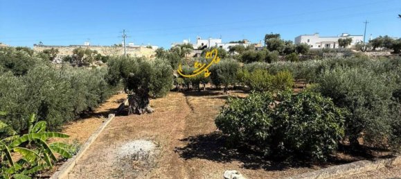 4 rooms House in Monopoli, Italy No. 297113 23