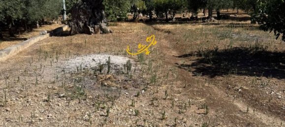 4 rooms House in Monopoli, Italy No. 297113 18