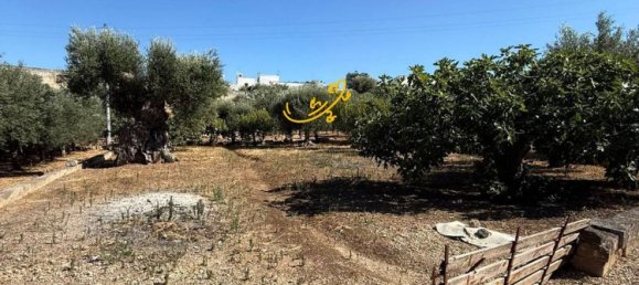 4 rooms House in Monopoli, Italy No. 297113 17