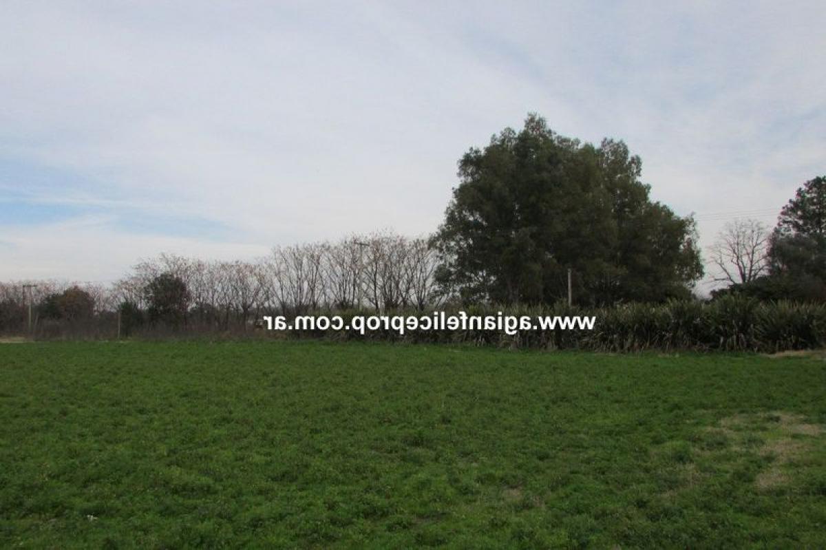  Farm in Buenos Aires, Argentina No. 114508