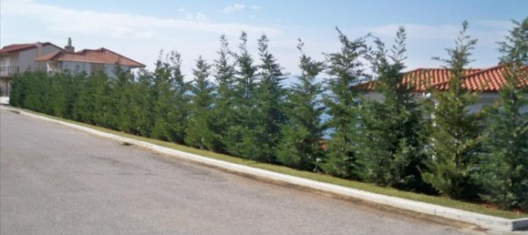 Vivenda em Malesina, Greece 300 m² N.º 5308 4