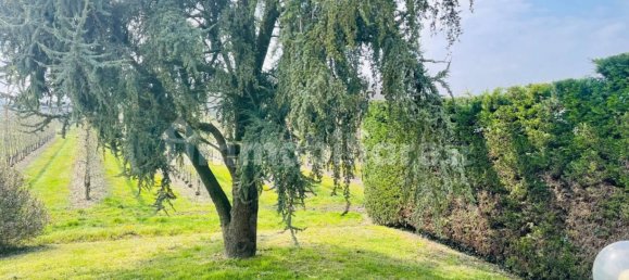 Villa T3 em Ronco all'Adige, Italy N.º 218484 43