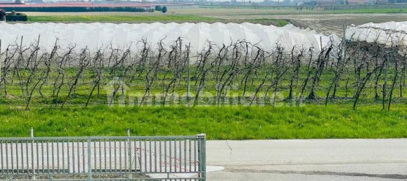 Villa T3 em Ronco all'Adige, Italy N.º 218484 31