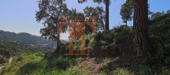 Земельный участок в Сан-Себрия-де-Вальяльта, Испания № 69758 5