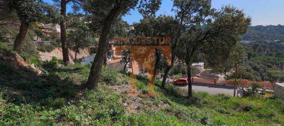 Земельный участок в Сан-Себрия-де-Вальяльта, Испания № 69758 3