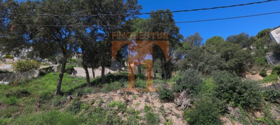 Земельный участок в Сан-Себрия-де-Вальяльта, Испания № 69758 9