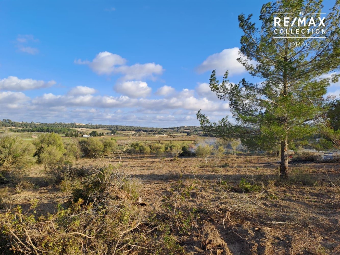 Terrain à Mallorca, Spain No. 168271