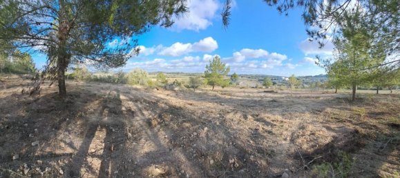 Terrain à Mallorca, Spain No. 168271 5