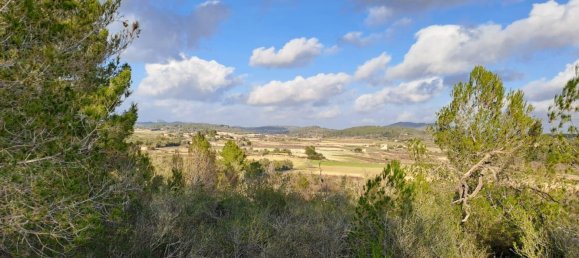 Terrain à Mallorca, Spain No. 168271 6
