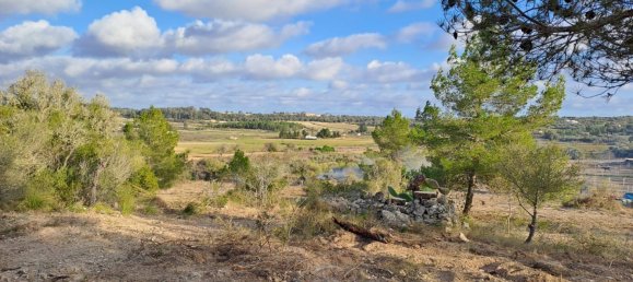 Terrain à Mallorca, Spain No. 168271 10