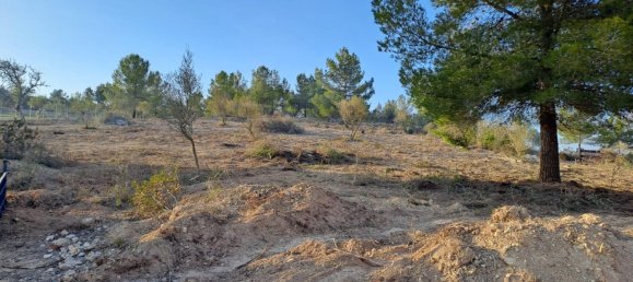 Terrain à Mallorca, Spain No. 168271 9