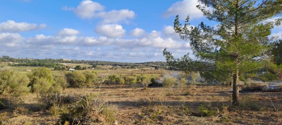 Terrain à Mallorca, Spain No. 168271 2