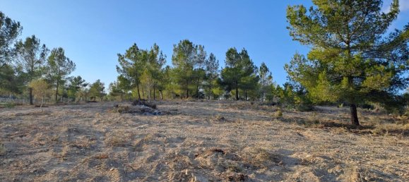 Terrain à Mallorca, Spain No. 168271 7