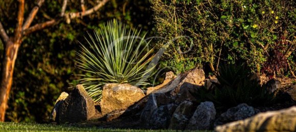 10 chambres Maison à Sintra, Portugal No. 164072 12