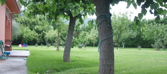 4 غرف نوم عقار تجاري في Kamena Vourla, Greece رقم 52409 7