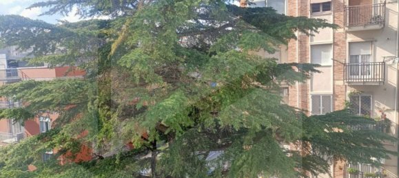 3 bedrooms Apartment in Bari, Italy No. 21033 28