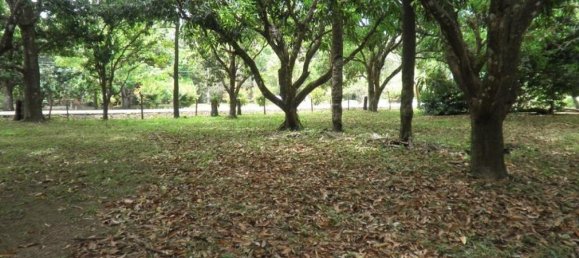  Land in Nicoya, Costa Rica No. 1467 2