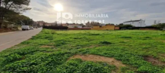  Land in Garriguella, Spain No. 73571 30