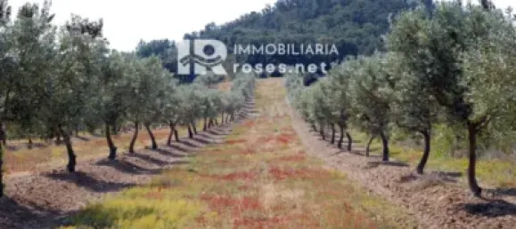 Land in Garriguella, Spain No. 73571 37