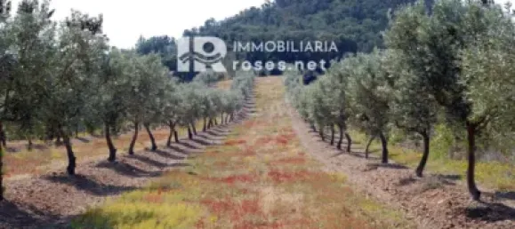  Land in Garriguella, Spain No. 73571 2