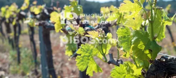  Land in Garriguella, Spain No. 73571 40