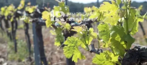  Land in Garriguella, Spain No. 73571 33